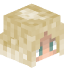 iPaladin head