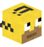 Tête de jungleice