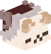 maitenoemi