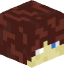 Tête de minegamerrr