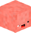Tête de minelor13