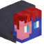 Tête de nalix03