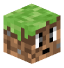 Tête de nicowizzy