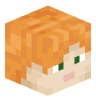 Tete Minecraft de noamexperrtt