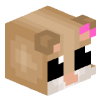 Tete Minecraft de nvlss51
