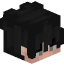 Tête de nype09Xfr
