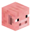 Tête de opaTV