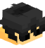 Tête de raytonet