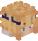 rctupi