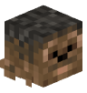 Tete Minecraft de remco0106