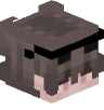 Tete Minecraft de rockpvp