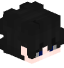 Tête de s4rt3k