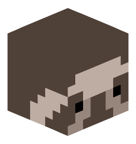 sadwasdw Minecraft skin