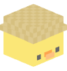 Tete Minecraft de sowdaaaaaa