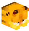 Tete Minecraft de spejn