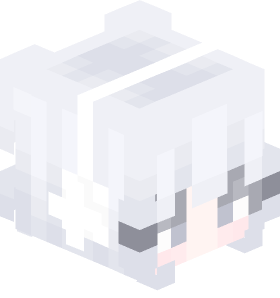 strazcs Minecraft skin