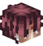 Tête de stupzer