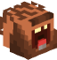 Tête de tomatopsg