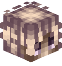 Skin de tortosouihahaxd - BattleAdventure