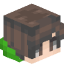 tozmc head