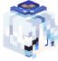 Tête de xayone
