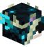 Tête de zolays_