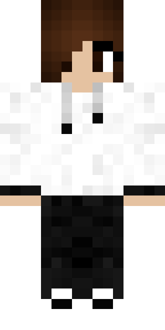 FourGlobe716566 Minecraft-skin i fuld figur