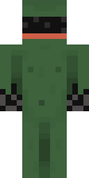 TheFr0g1e Minecraft skin