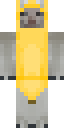 troopadusky Minecraft skin
